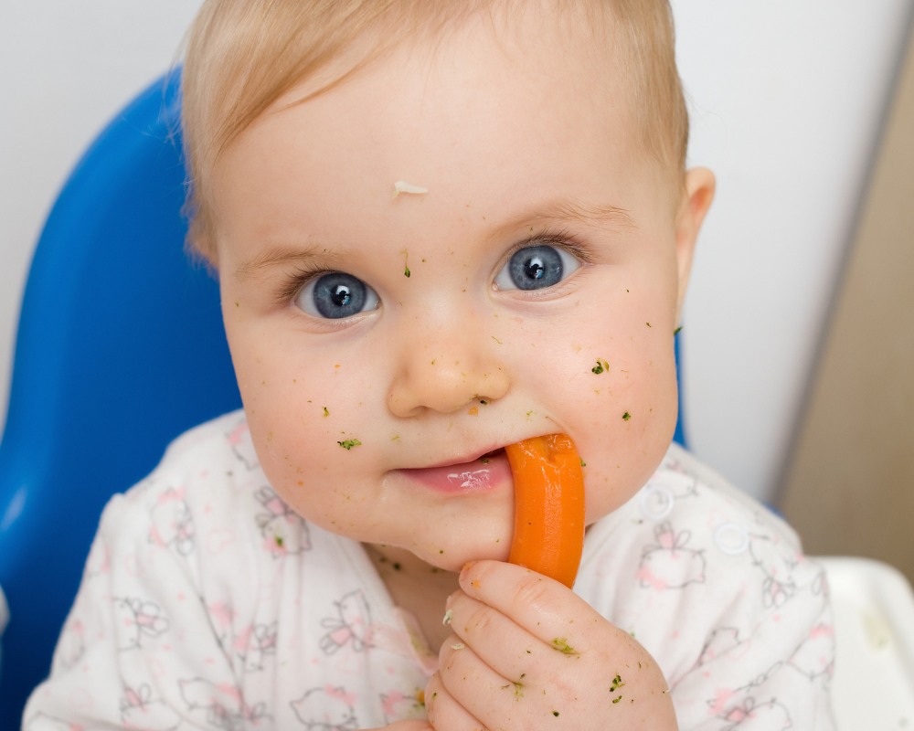 baby Eating Carrots