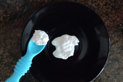 Indian Hung Curd Recipes for Baby Led Weaning recipes