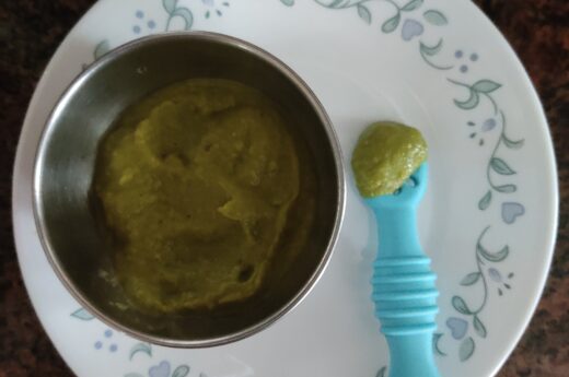 BLW Ridge Gourd Chutney for Babies