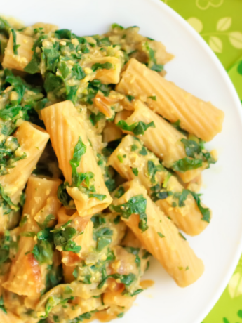 BLW Recipes Penne Pasta with Spinach for babies