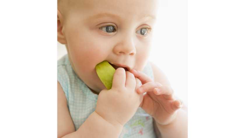 Apple for Babies 6 to 9 months Baby Led Weaning